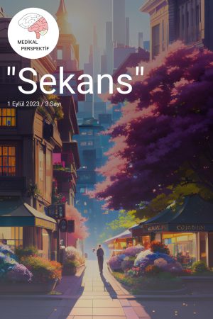 3.Sayı Sekans